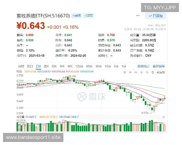 百家乐问路指数波动解析胜率变化成今日最大关注焦点趋势与策略前瞻